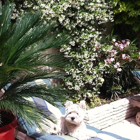 Maison Gaudin Bed & Breakfast Cognac