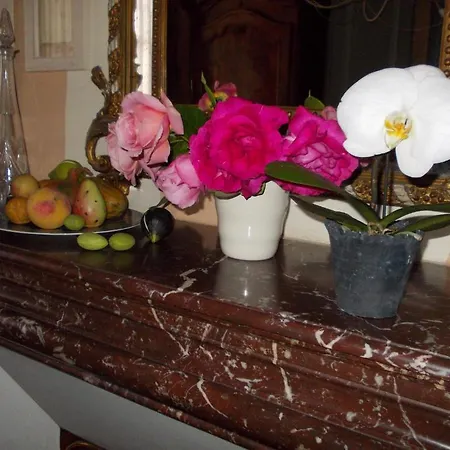 Maison Gaudin Bed & Breakfast Cognac