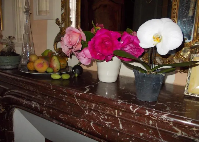 Maison Gaudin Bed & Breakfast Cognac